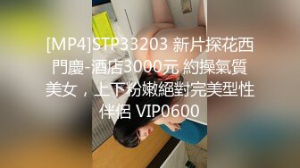 [MP4]STP33203 新片探花西門慶-酒店3000元 約操氣質美女，上下粉嫩絕對完美型性伴侶 VIP0600