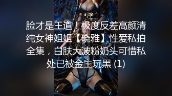 脸才是王道！极度反差高颜清纯女神姐姐【晓雅】性爱私拍全集，白肤大波粉奶头可惜私处已被金主玩黑 (1)