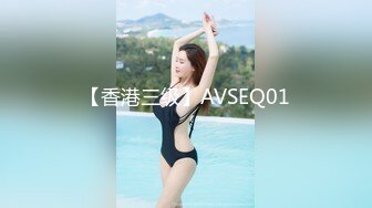 【香港三级】AVSEQ01