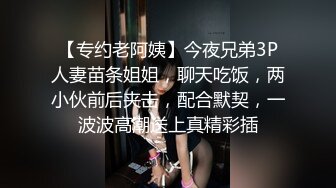 【专约老阿姨】今夜兄弟3P人妻苗条姐姐，聊天吃饭，两小伙前后夹击，配合默契，一波波高潮送上真精彩插