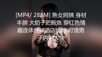 [MP4/ 288M] 熟女阿姨 身材丰腴 大奶子肥鲍鱼 穿红色情趣连体丝袜酒店约炮 可惜男子内射太快