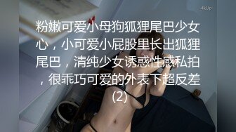 粉嫩可爱小母狗狐狸尾巴少女心，小可爱小屁股里长出狐狸尾巴，清纯少女诱惑性感私拍，很乖巧可爱的外表下超反差 (2)