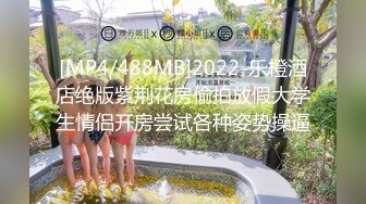 [MP4/488MB]2022-乐橙酒店绝版紫荆花房偷拍放假大学生情侣开房尝试各种姿势操逼