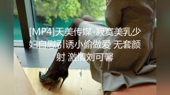 [MP4]天美传媒-寂寞美乳少妇自慰引诱小偷做爱 无套颜射 激情刘可馨