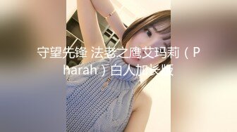 守望先锋 法老之鹰艾玛莉（Pharah）白人加长版