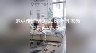 麻豆传媒MD-0268巨乳家教内射课程-凌薇