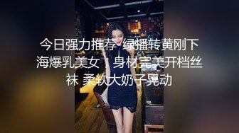 今日强力推荐-绿播转黄刚下海爆乳美女，身材完美开档丝袜 柔软大奶子晃动