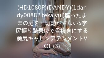 (HD1080P)(DANDY)(1dandy00882.tekaiyuj)座ったままの男を一切動かさないS字尻振り騎乗位で骨抜きにする美尻キャビンアテンダントVOL (3)