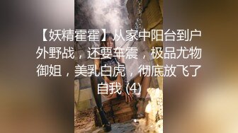 【妖精霍霍】从家中阳台到户外野战，还要车震，极品尤物御姐，美乳白虎，彻底放飞了自我 (4)