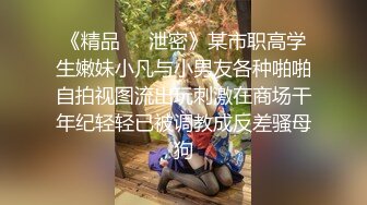 超幻3D视觉爆操双马尾萝-莉女友喵喵 从客厅操到浴室 从浴室干到车上 男友视角