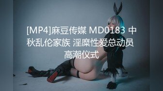 [MP4]麻豆传媒 MD0183 中秋乱伦家族 淫糜性爱总动员 高潮仪式