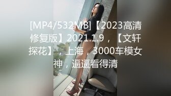 [MP4/532MB]【2023高清修复版】2021.1.9，【文轩探花】，上海，3000车模女神，逼逼看得清