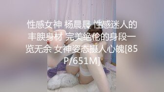 性感女神 杨晨晨 性感迷人的丰腴身材 完美绝伦的身段一览无余 女神姿态摄人心魄[85P/651M]