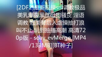 [2DF2]最新玩操sm调教极品美乳爆裂黑丝母狗骚货 淫语调教 翘美臀后入虐操抽打浪叫不止 玩到抽搐高潮 高清720p版 - soav_evMerge [MP4/133MB][BT种子]