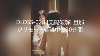 DLDSS-028 [无码破解] 旦那がリモート会議中の30分間