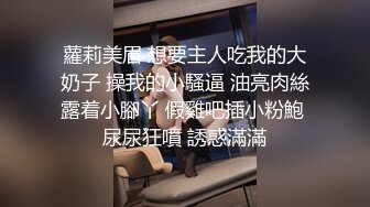 商场女厕全景偷拍制服美女职员的多毛小黑鲍