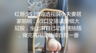 红唇少妇情趣透视装小夫妻居家啪啪，69口交舔逼腰细大屁股，坐上来自己动快速抽插，操完再用震动棒自慰一番