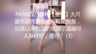 PANS极品模特【蕾蕾】大尺度内部资源合集，粉嫩鲍鱼，出道以来拍摄的视频，温婉可人身材好，推荐！ (3)