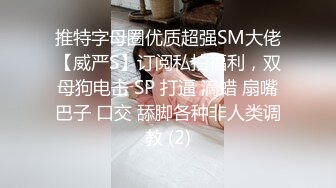 推特字母圈优质超强SM大佬【威严S】订阅私拍福利，双母狗电击 SP 打逼 滴蜡 扇嘴巴子 口交 舔脚各种非人类调教 (2)