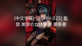 (中文字幕) [DDHH-025] 監禁 美学の女体新書 東条蒼