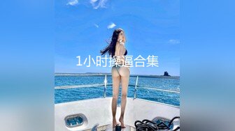 1小时操逼合集